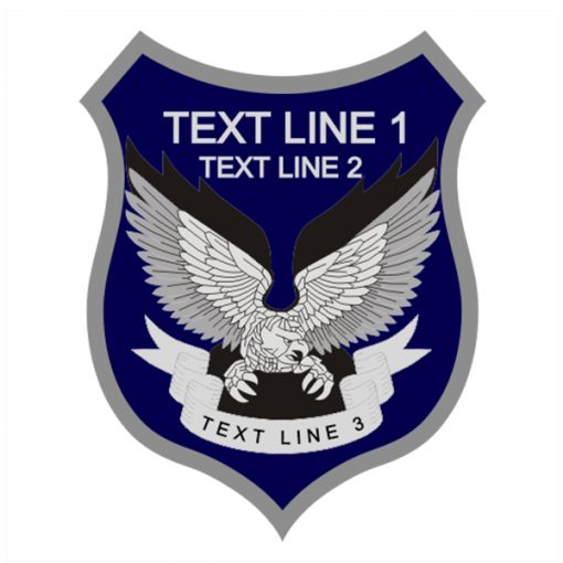 Eagle Takeoff Shield Security Patch