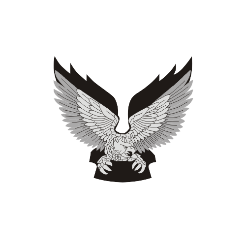 Eagle Takeoff Shield Security Patch – Build Your Patch – Custom Patches  Online