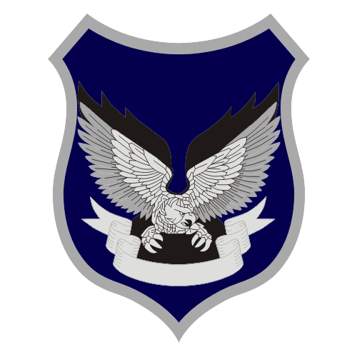 Eagle Takeoff Shield Security Patch – Build Your Patch – Custom Patches  Online